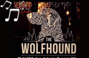 Trad Week At The Wolfhound