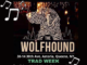 Trad Week At The Wolfhound