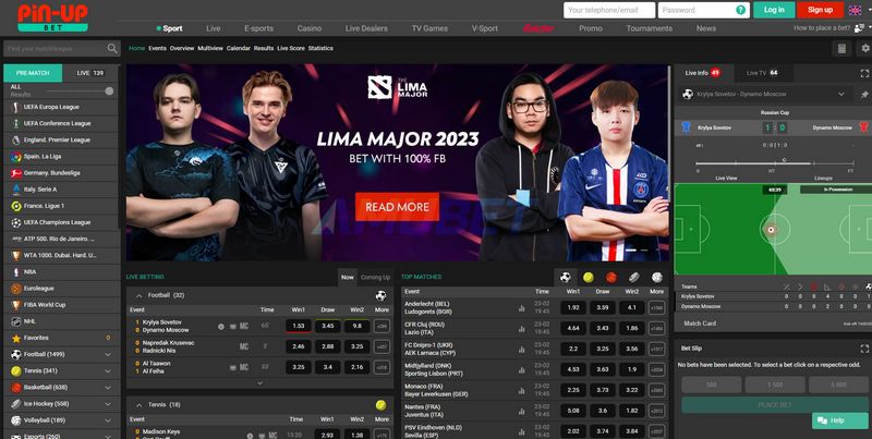 Игровое заведение Pin-Up: всесторонний обзор онлайн-игровой платформы